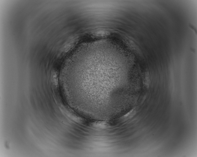 X0000099410086200805231615