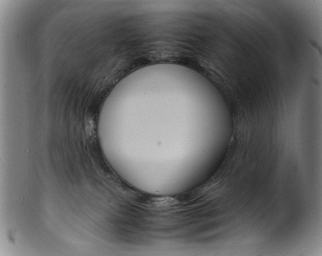 X0000099410087200805231615