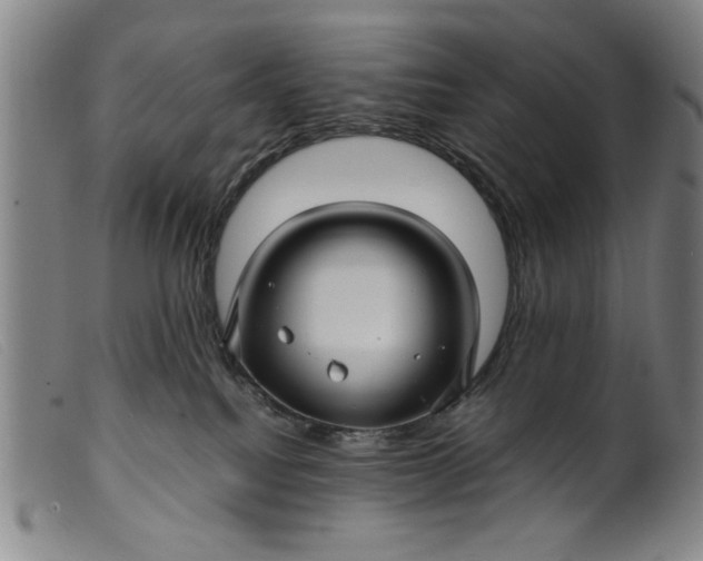 X0000099410088200805231615