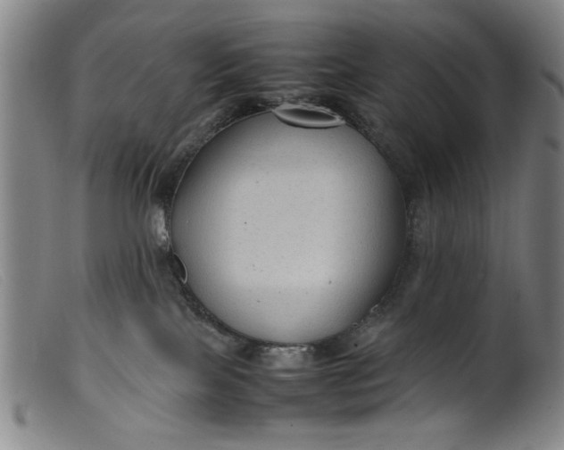 X0000099410089200805231615