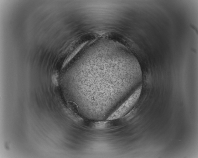 X0000099410090200805231615