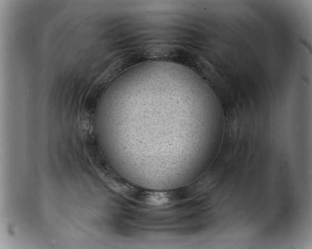 X0000099410091200805231615