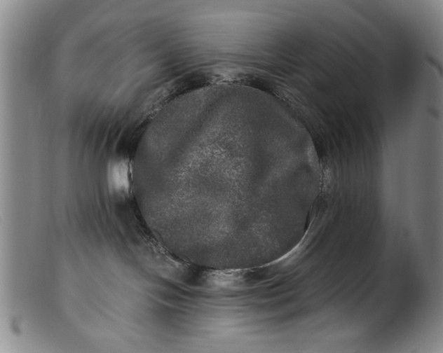 X0000099410094200805231615