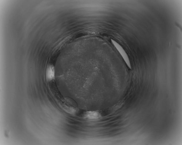 X0000099410095200805231615