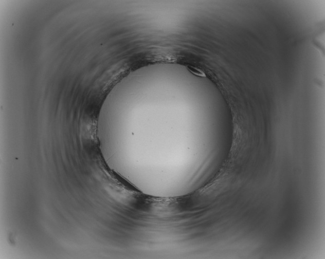 X0000099410096200805231615