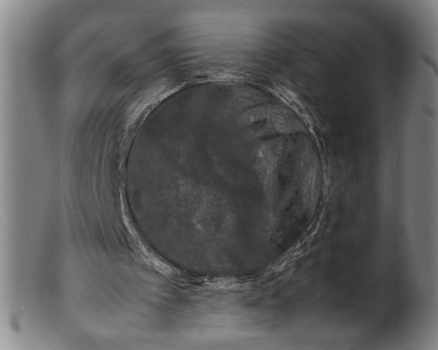 X0000099410097200805231614