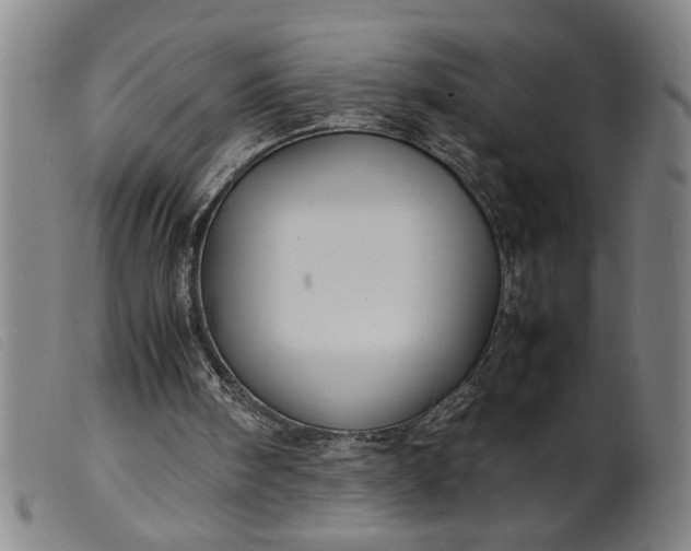 X0000099410098200805231614