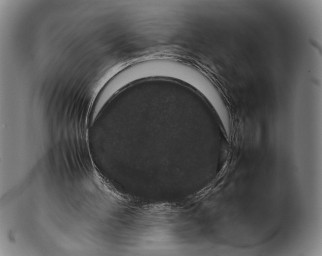 X0000099410100200805231614