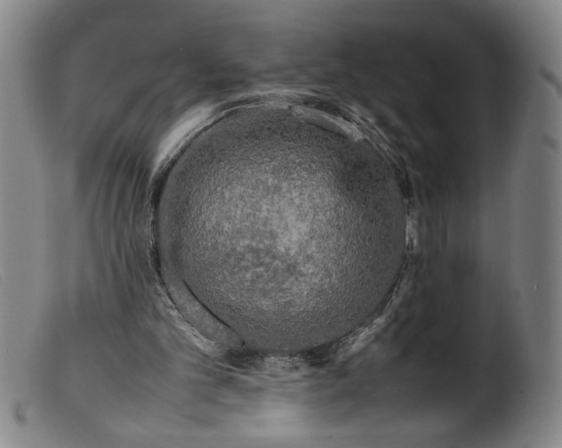 X0000099410101200805231614