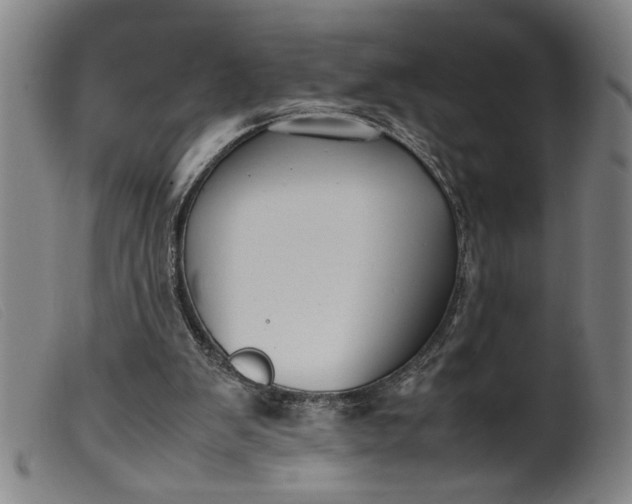 X0000099410103200805231614