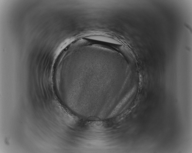 X0000099410104200805231614