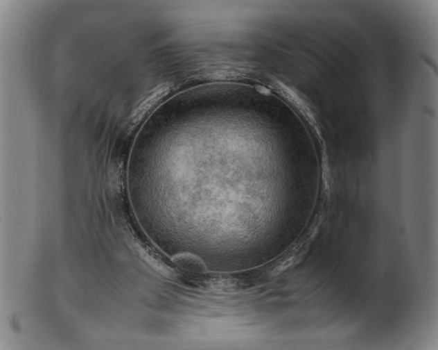 X0000099410105200805231614