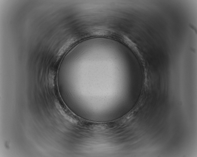 X0000099410106200805231614