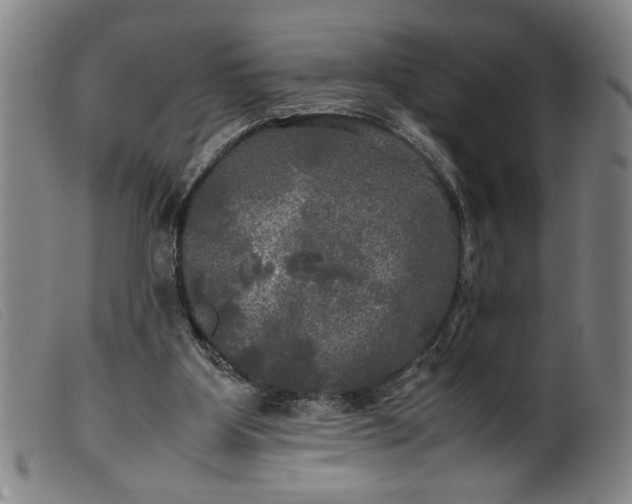 X0000099410107200805231614