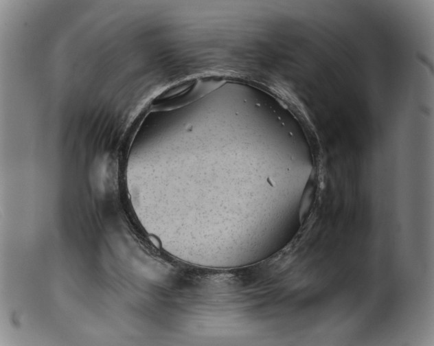 X0000099410108200805231614