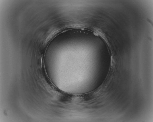 X0000099410109200805231614