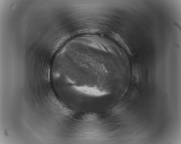 X0000099410110200805231614