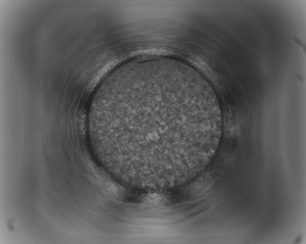 X0000099410111200805231614