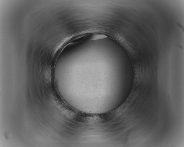 X0000099410112200805231614