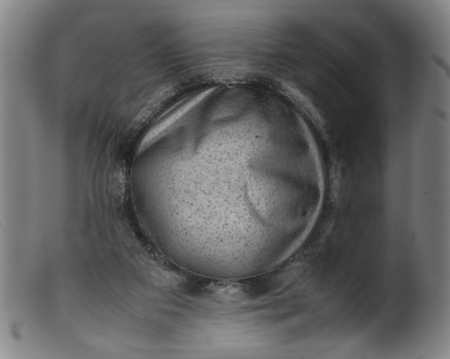 X0000099410113200805231614