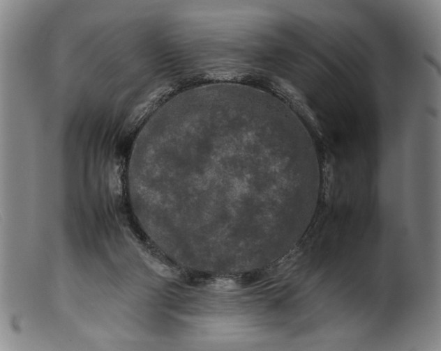 X0000099410114200805231614