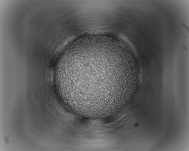 X0000099410115200805231614