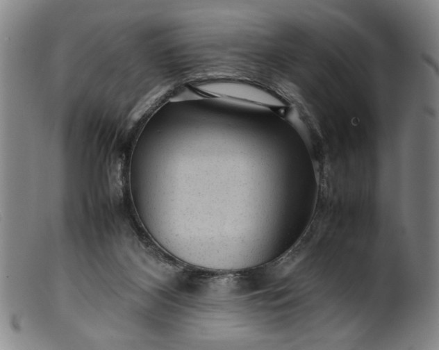 X0000099410116200805231614