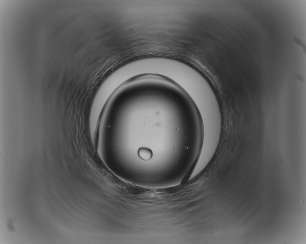 X0000099410117200805231614