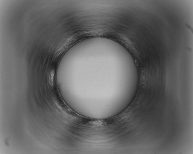 X0000099410118200805231614