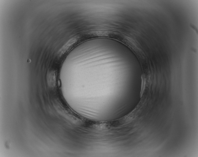 X0000099410120200805231614