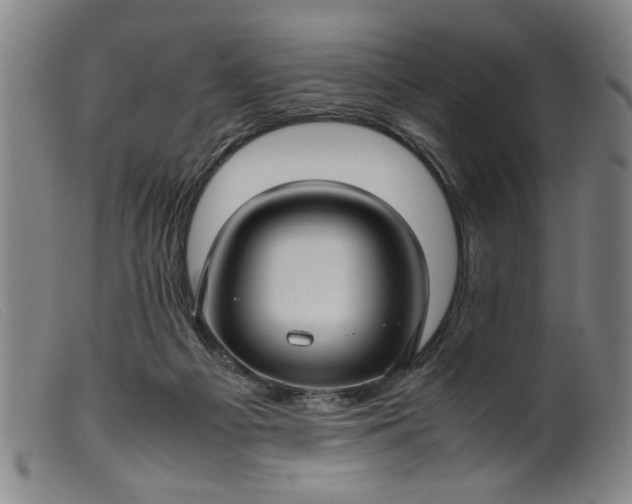 X0000099410121200805231614