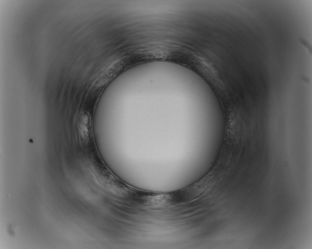 X0000099410122200805231614