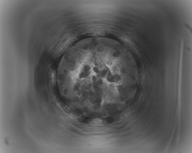 X0000099410123200805231614