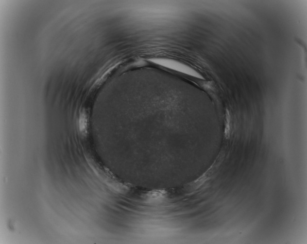 X0000099410124200805231614