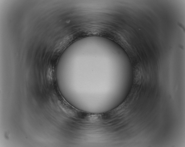 X0000099410126200805231614