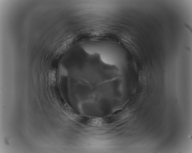 X0000099410127200805231614