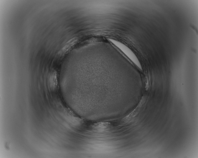 X0000099410128200805231614