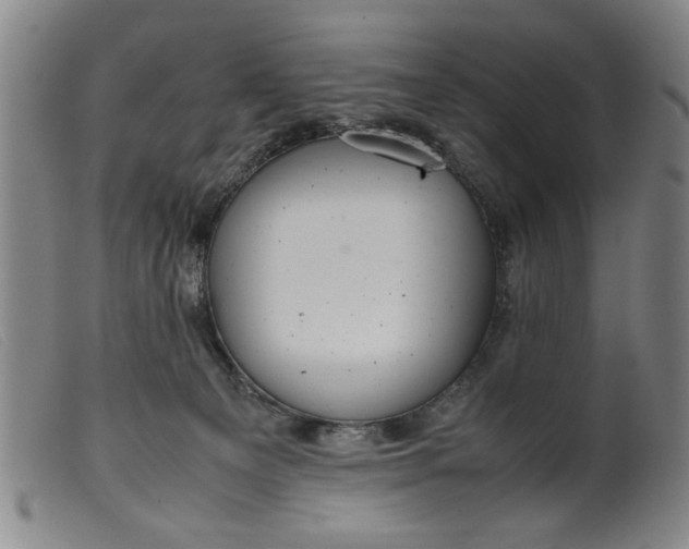 X0000099410129200805231614