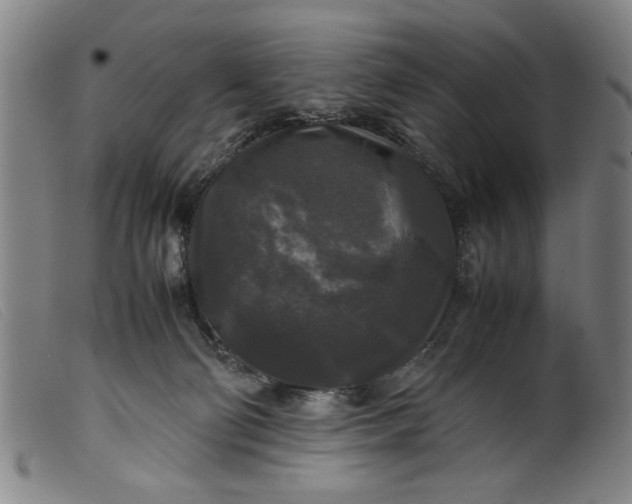 X0000099410130200805231614