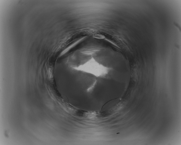 X0000099410131200805231614