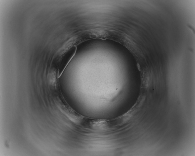 X0000099410132200805231614