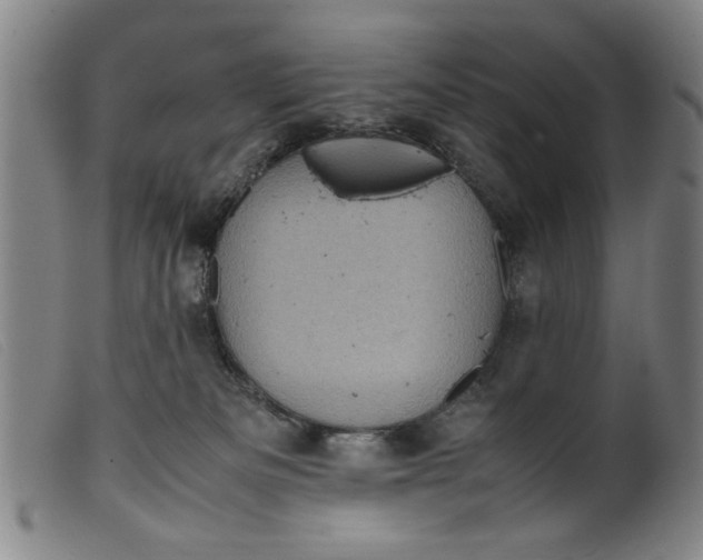 X0000099410133200805231614