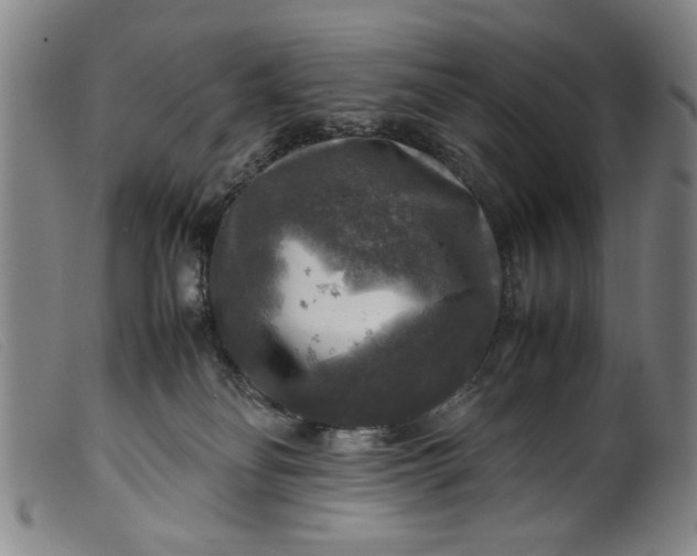 X0000099410134200805231614