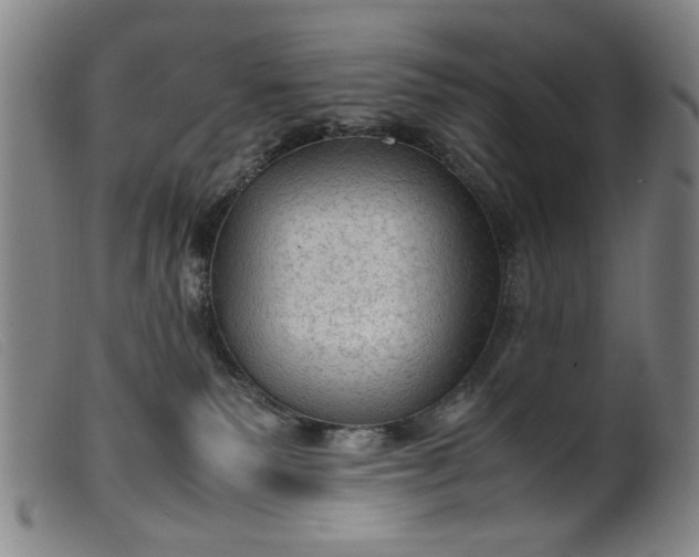 X0000099410135200805231614