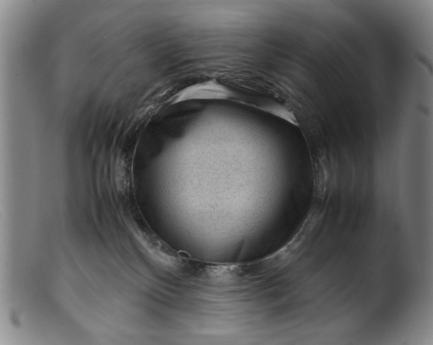 X0000099410136200805231614