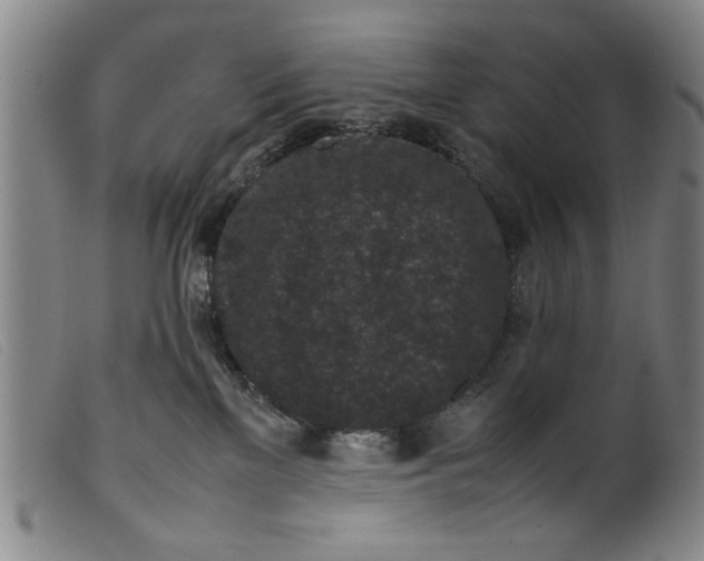 X0000099410137200805231614