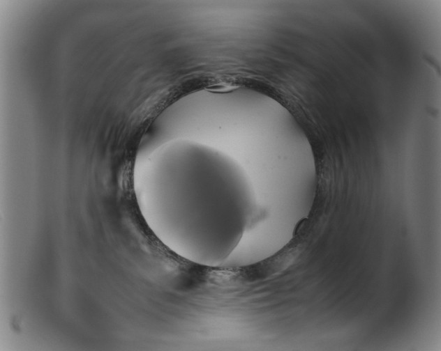 X0000099410139200805231614