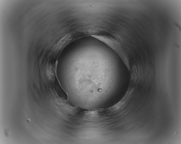 X0000099410140200805231614