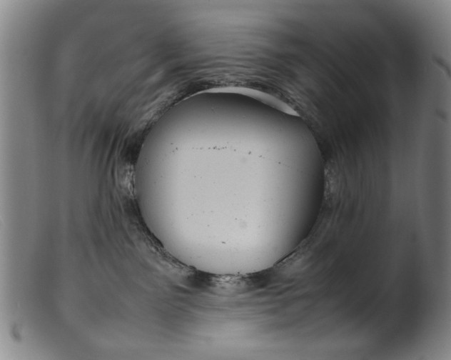 X0000099410141200805231614