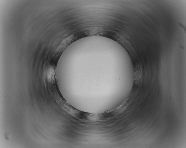 X0000099410142200805231614